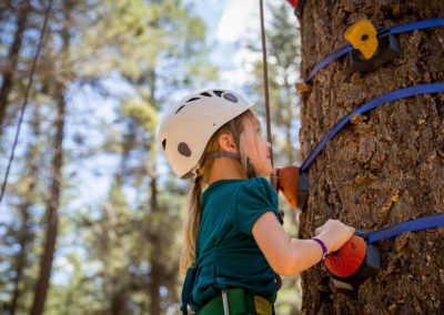 young girl camper climbing tree with holds strapped to it on arbor climb activity