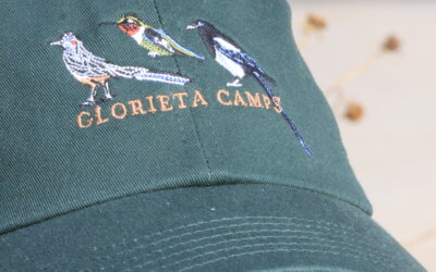 Bird Hat EMB