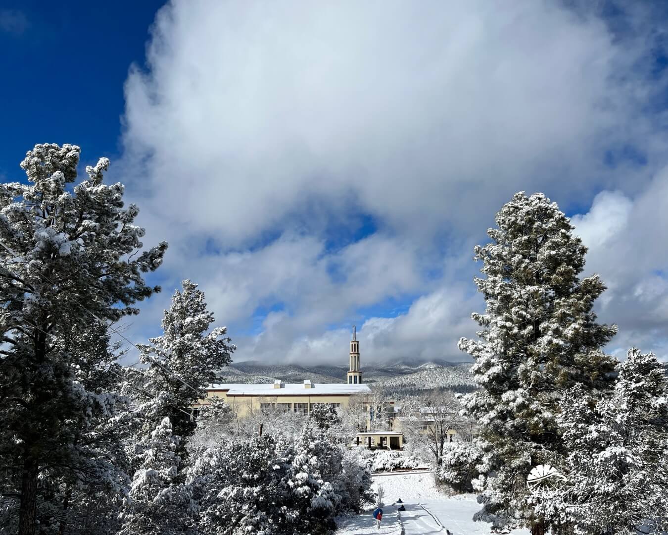 5 Winter Adventures for Families