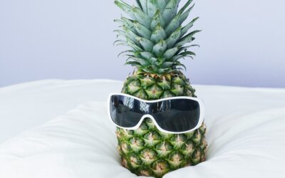 Summer Fun, Unplugged