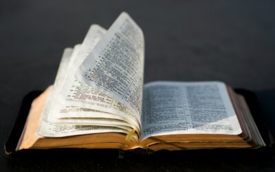 Rise of the Remnant: A Family Devotional