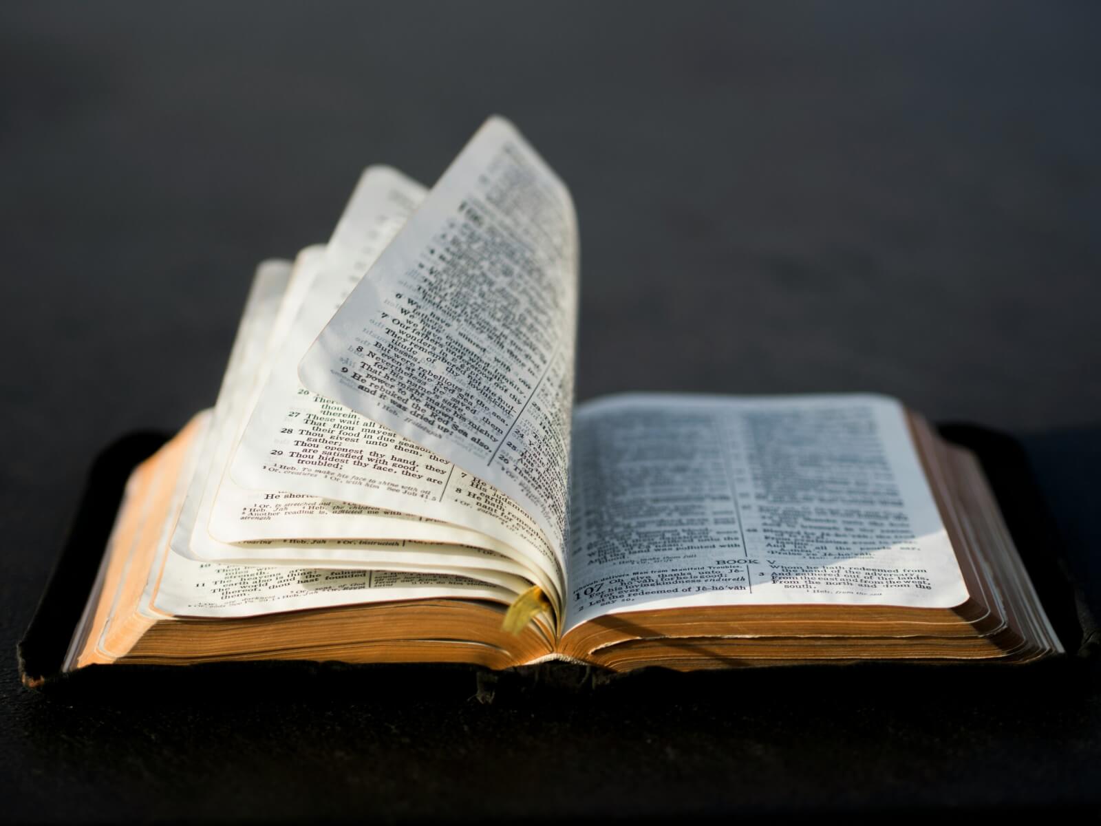 Rise of the Remnant: A Family Devotional