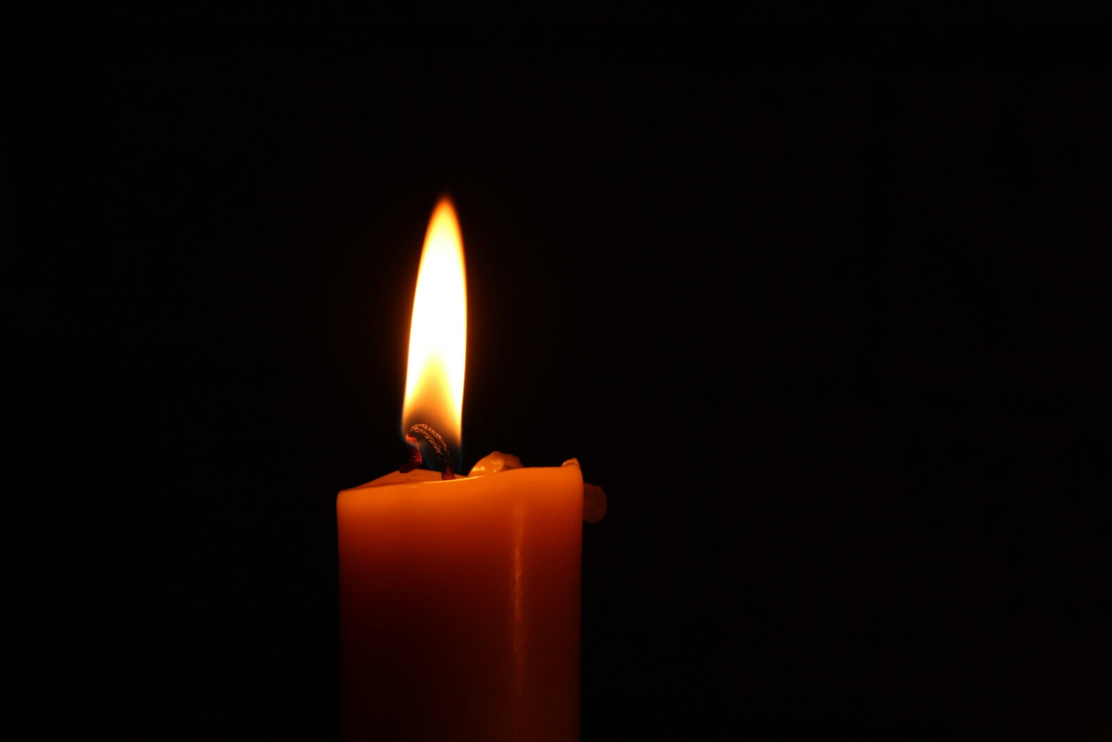 Light in Winter: A Group Devotional