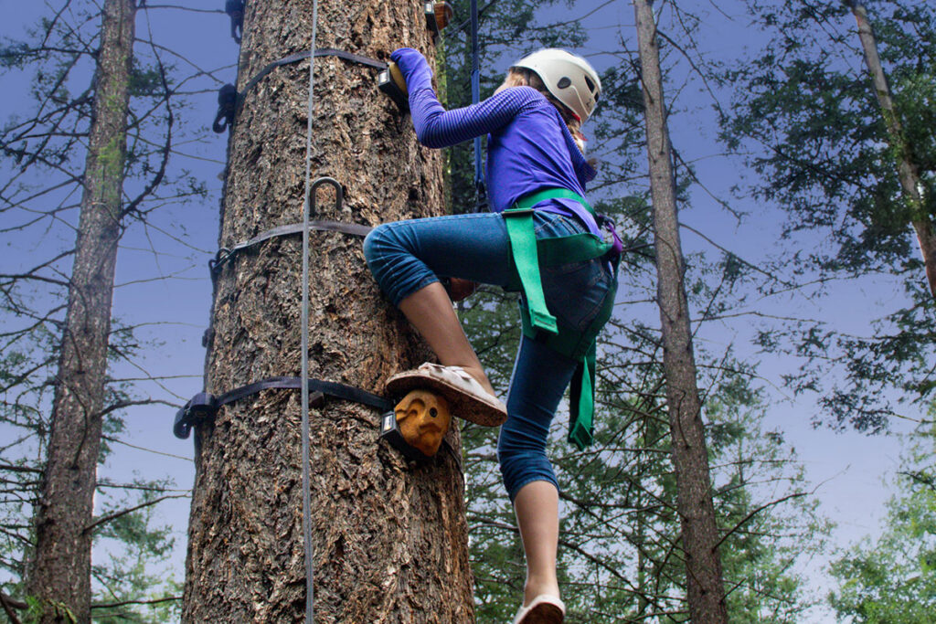 Arbor Climb