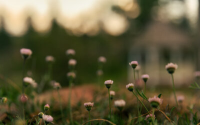 Finding God in the Small Things