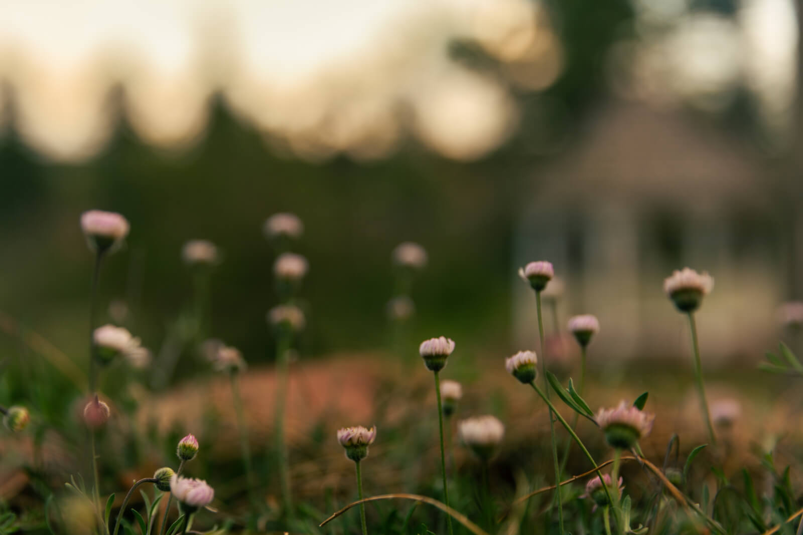 Finding God in the Small Things