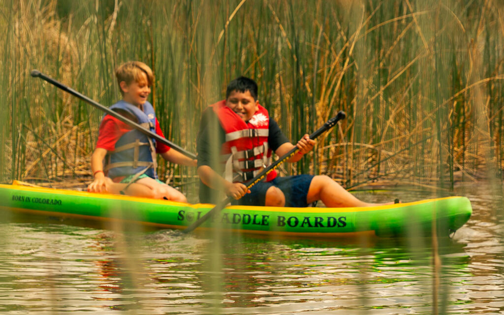 Paddleboards