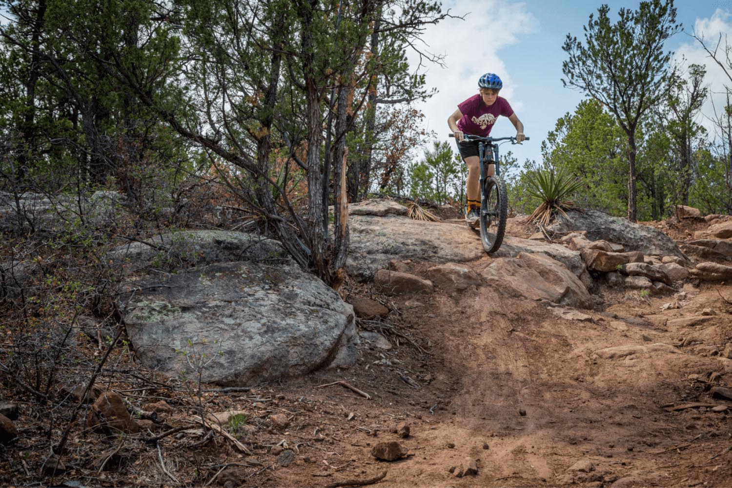 Accessible on non-race days